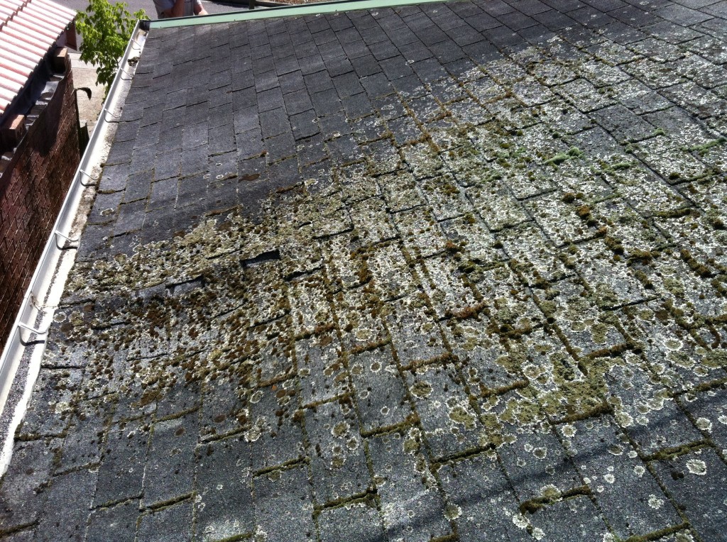 Damage caused by a number of factors including no ventilation of moisture below