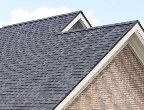 Shingle Roof